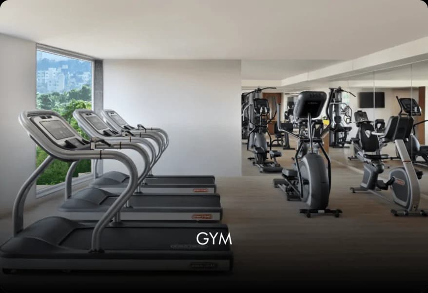 Gymnasium