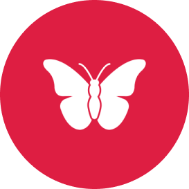Butterfly Breeding Park