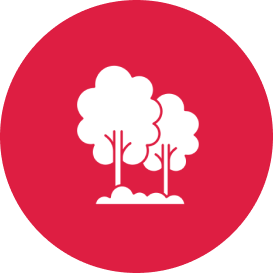 Tree Plaza